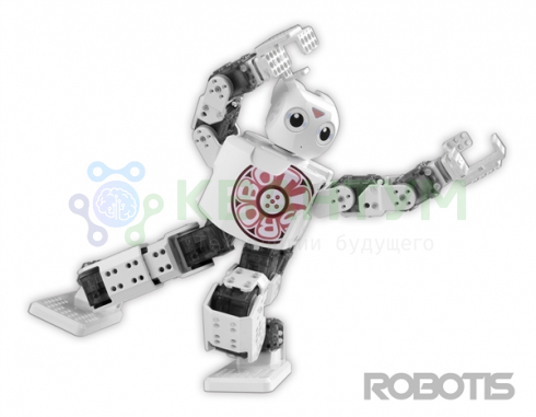 ROBOTIS MINI 10-14 лет